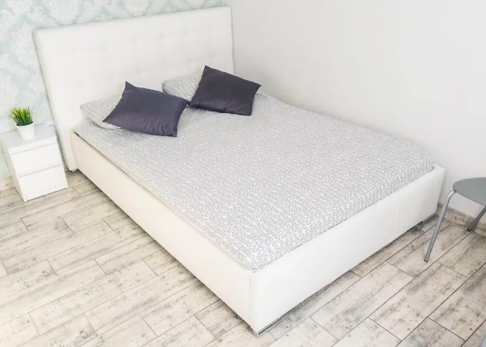 Biulux Проживание в семье *