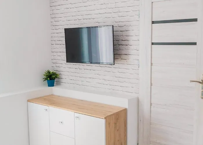 Проживание в семье Biulux *