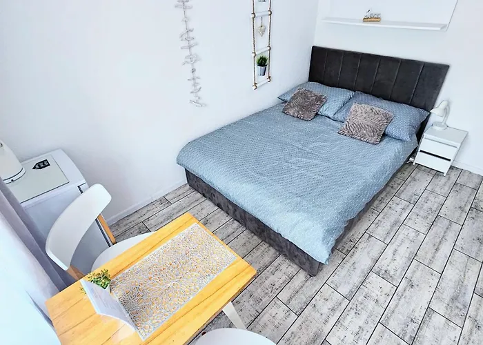 Biulux Проживание в семье *